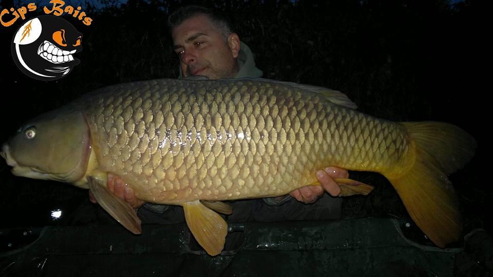 carpfishing la modul meu 2016 - 3-big.jpg